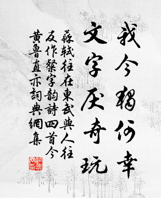 苏轼我今独何幸，文字厌奇玩书法作品欣赏