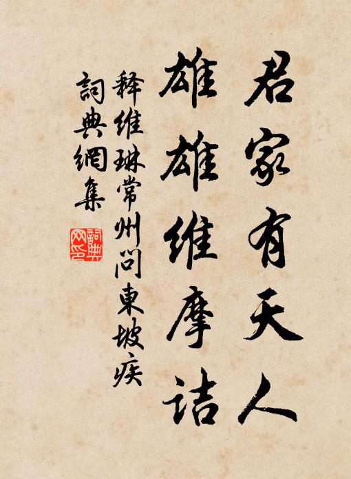 释维琳君家有天人，雄雄维摩诘书法作品欣赏