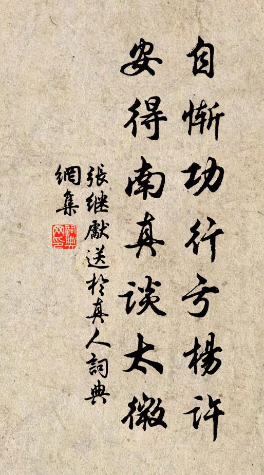 张继先自惭功行亏杨许，安得南真谈太微书法作品欣赏