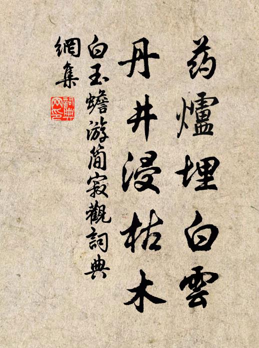 白玉蟾药炉埋白云，丹井浸枯木书法作品欣赏