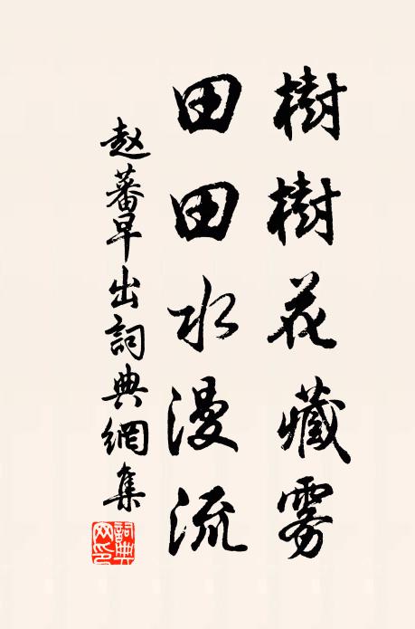 赵蕃树树花藏雾，田田水漫流书法作品欣赏