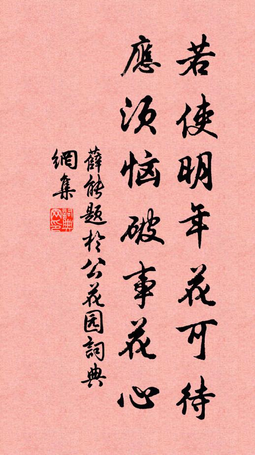 薛能若使明年花可待，应须恼破事花心书法作品欣赏