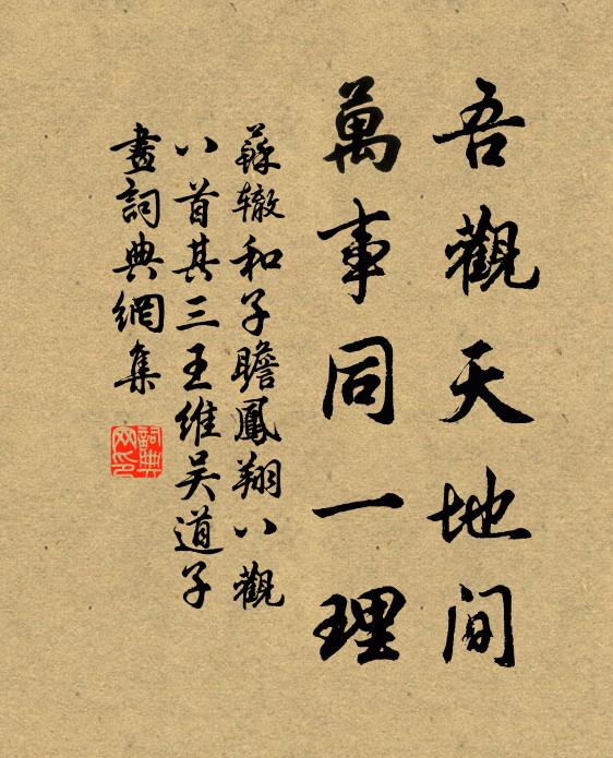 苏辙吾观天地间，万事同一理书法作品欣赏