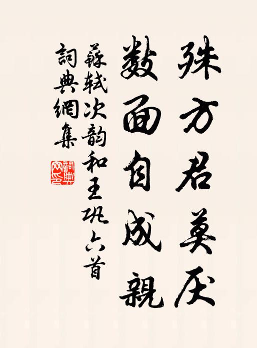 苏轼殊方君莫厌，数面自成亲书法作品欣赏