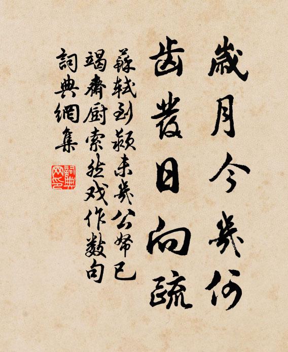 苏轼岁月今几何，齿发日向疏书法作品欣赏