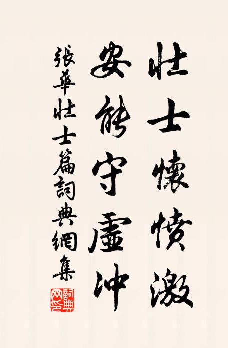 张华壮士怀愤激，安能守虚冲？书法作品欣赏