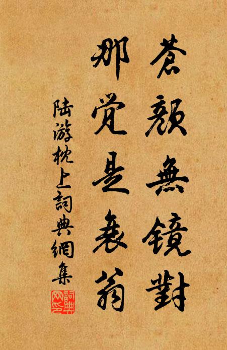 陆游苍颜无镜对，那觉是衰翁书法作品欣赏