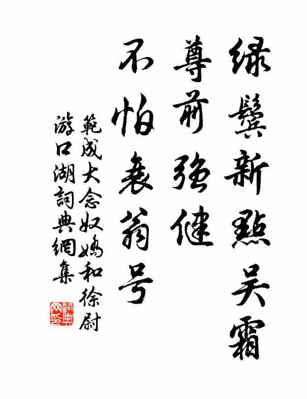 范成大绿鬓新点吴霜，尊前强健，不怕衰翁号书法作品欣赏