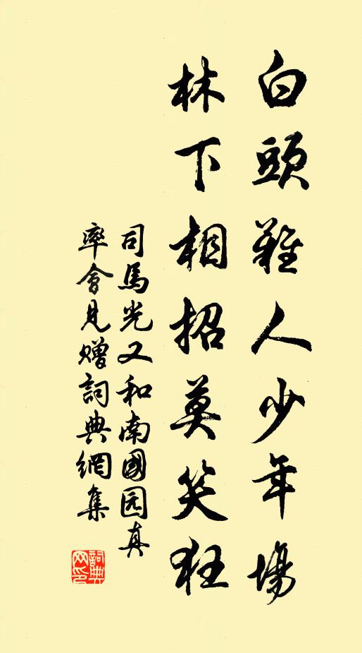 司马光白头难人少年场，林下相招莫笑狂书法作品欣赏