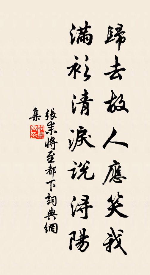 张耒归去故人应笑我，满衫清泪说浔阳书法作品欣赏