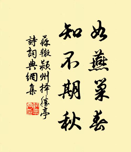 苏辙如燕巢春，知不期秋书法作品欣赏