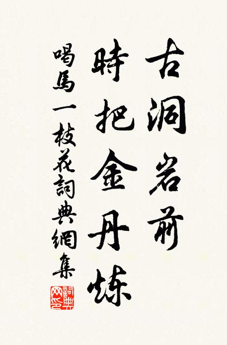佚名古洞岩前，时把金丹炼书法作品欣赏