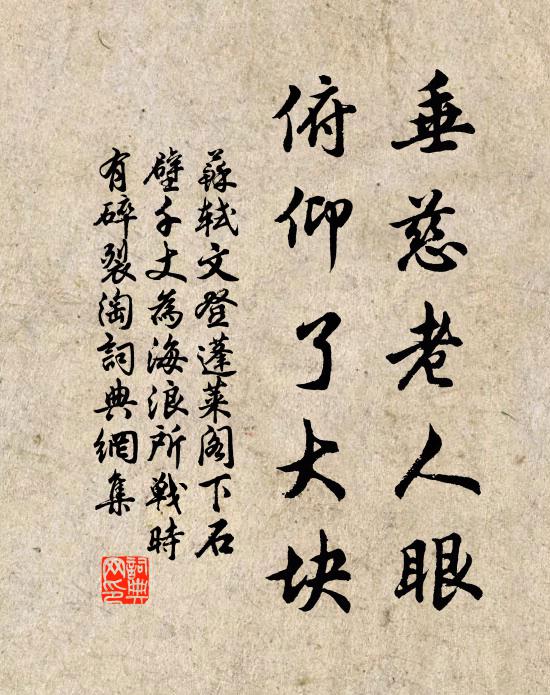 苏轼垂慈老人眼，俯仰了大块书法作品欣赏
