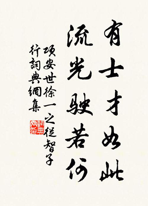 项安世有士才如此，流光驶若何书法作品欣赏