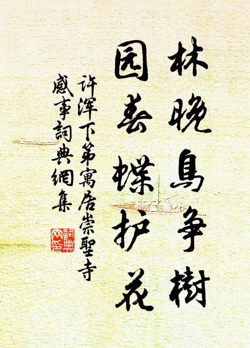 许浑林晚鸟争树，园春蝶护花书法作品欣赏