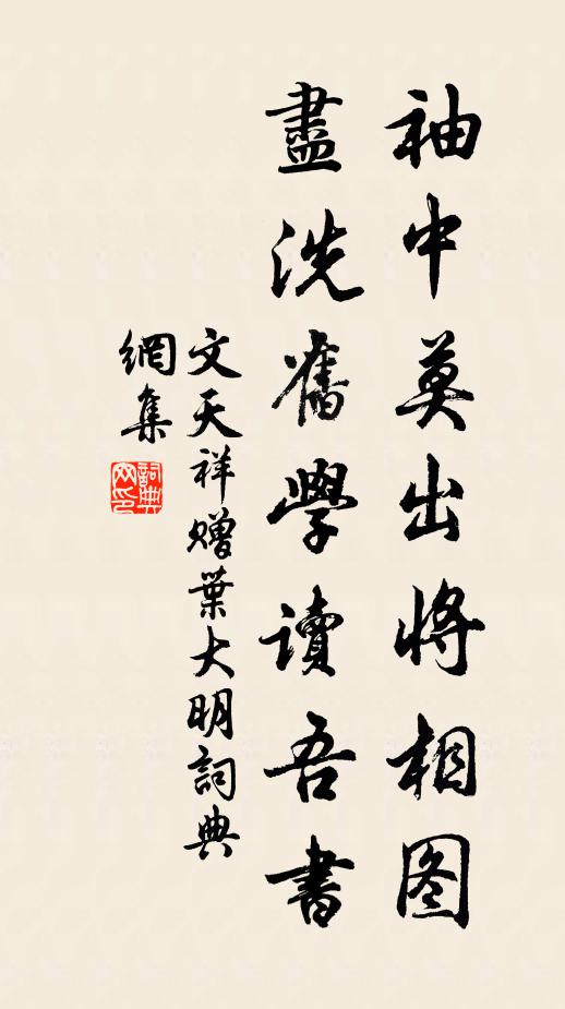 文天祥袖中莫出将相图，尽洗旧学读吾书书法作品欣赏