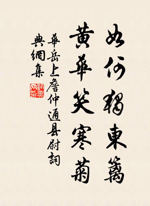 华岳如何独东篱，黄华笑寒菊书法作品欣赏