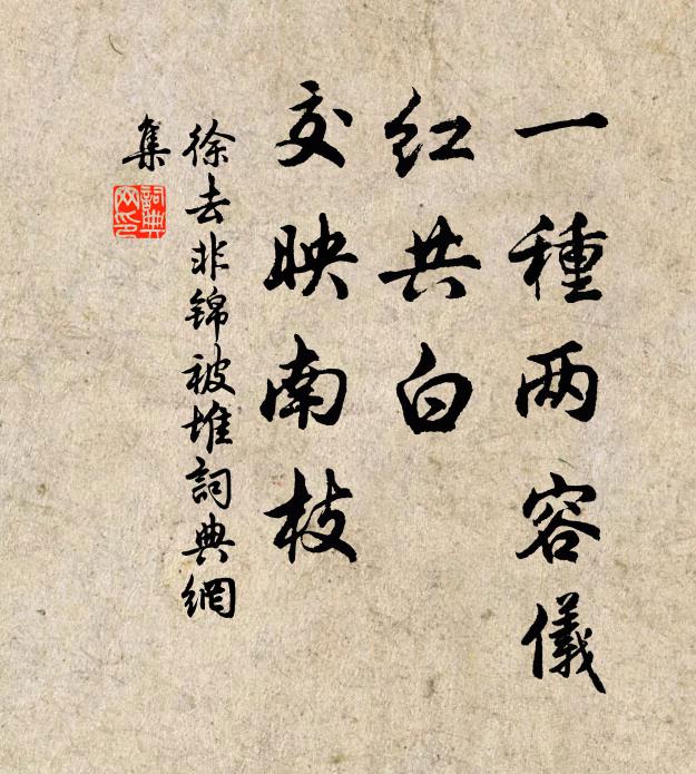 徐去非一种两容仪，红共白、交映南枝书法作品欣赏