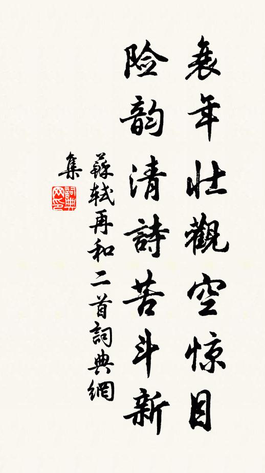 苏轼衰年壮观空惊目，险韵清诗苦斗新书法作品欣赏