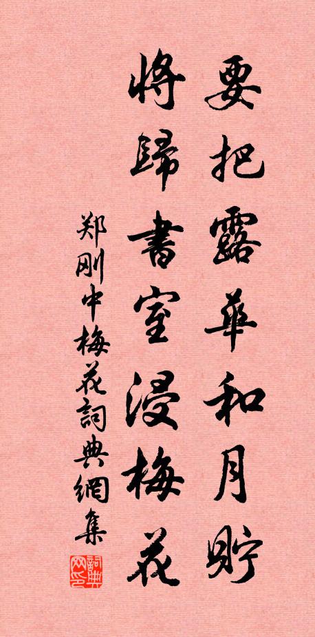 郑刚中要把露华和月贮，将归书室浸梅花书法作品欣赏