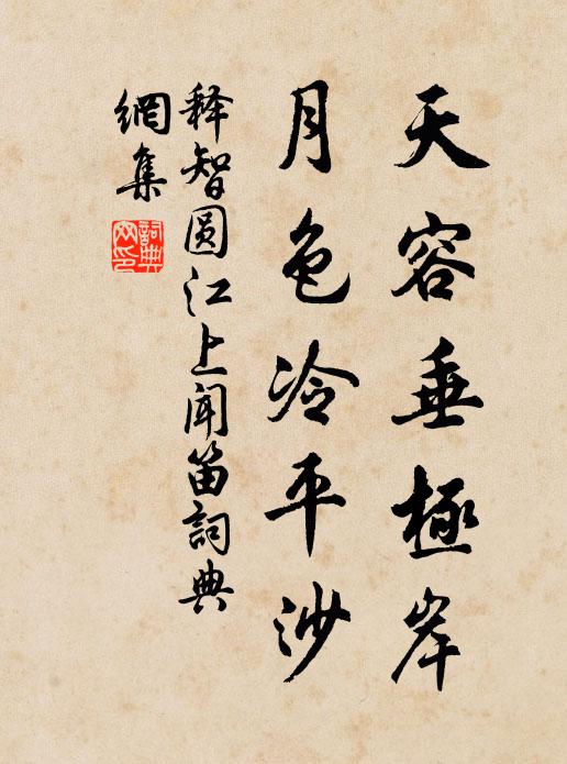 释智圆天容垂极岸，月色冷平沙书法作品欣赏