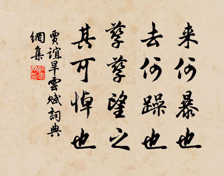 贾谊来何暴也,去何躁也!孳孳望之,其可悼也书法作品欣赏