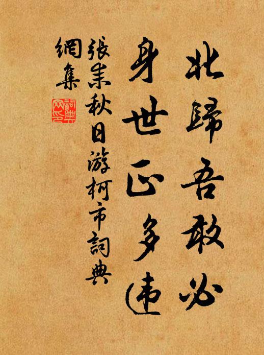 张耒北归吾敢必，身世正多违书法作品欣赏