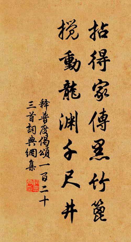 释普度拈得家传黑竹篦，搅动龙渊千尺井书法作品欣赏