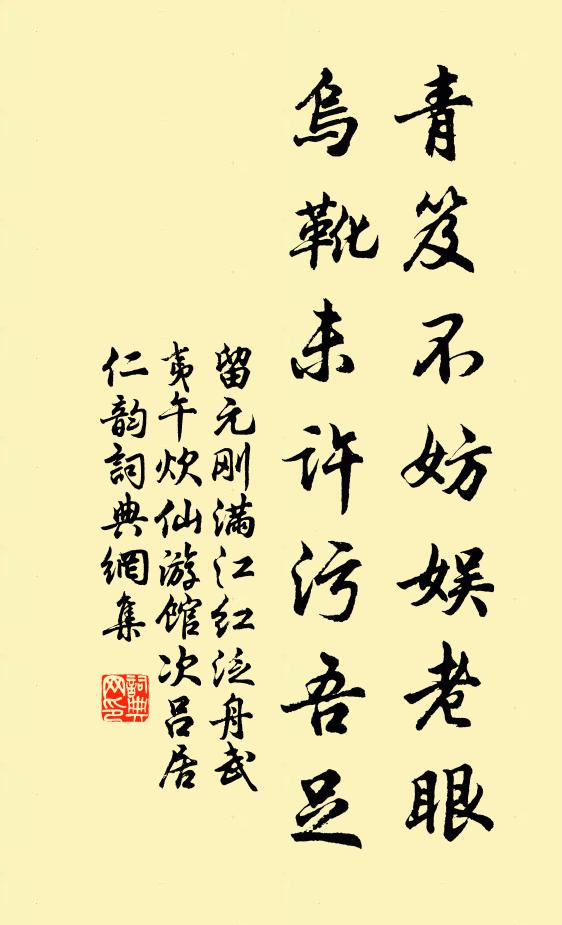 留元刚青笈不妨娱老眼,乌靴未许污吾足书法作品欣赏