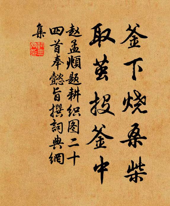 赵孟頫釜下烧桑柴，取茧投釜中书法作品欣赏