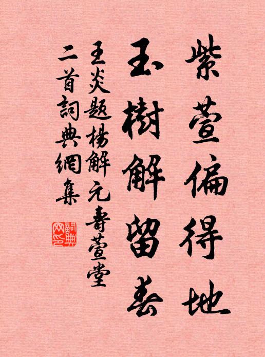 王炎紫萱偏得地，玉树解留春书法作品欣赏
