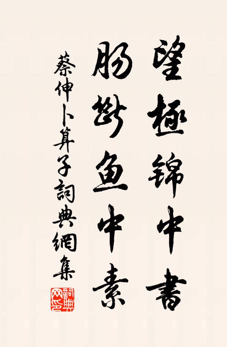 蔡伸望极锦中书，肠断鱼中素书法作品欣赏