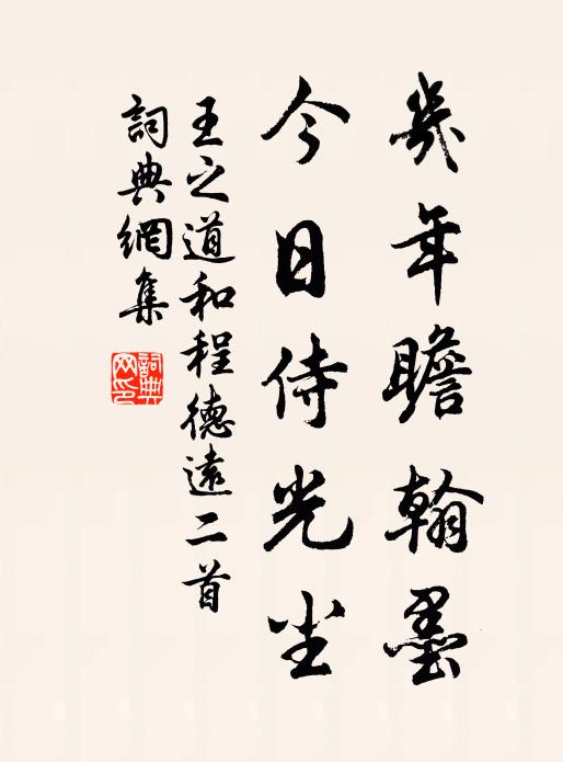 王之道几年瞻翰墨，今日侍光尘书法作品欣赏