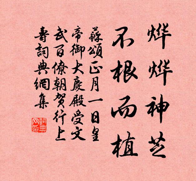 苏颂烨烨神芝，不根而植书法作品欣赏
