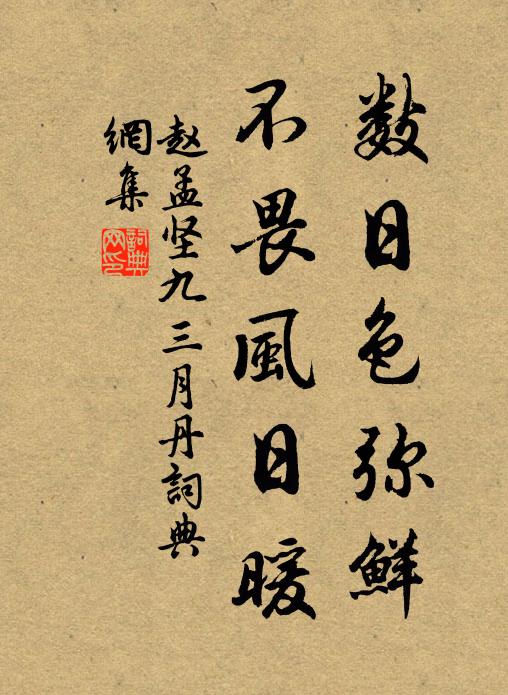 赵孟坚数日色弥鲜，不畏风日暖书法作品欣赏