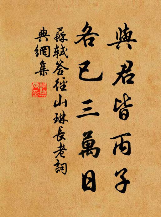 苏轼与君皆丙子，各已三万日书法作品欣赏
