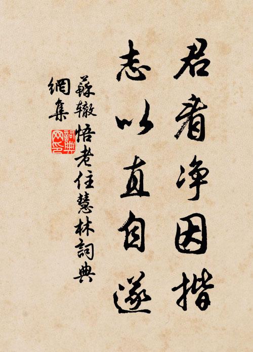 苏辙君看净因揩，志以直自遂书法作品欣赏