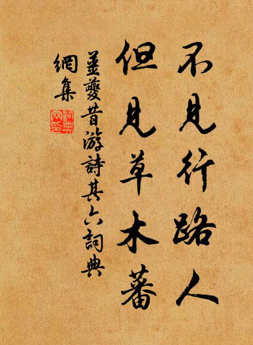 姜夔不见行路人，但见草木蕃书法作品欣赏