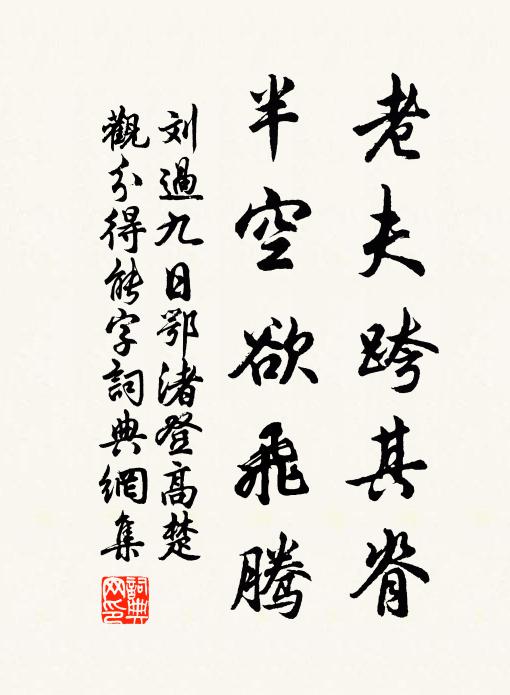 刘过老夫跨其脊，半空欲飞腾书法作品欣赏