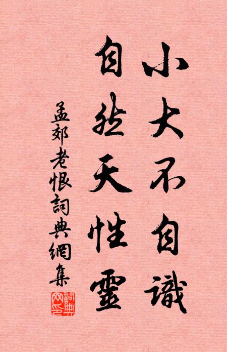 孟郊小大不自识，自然天性灵书法作品欣赏