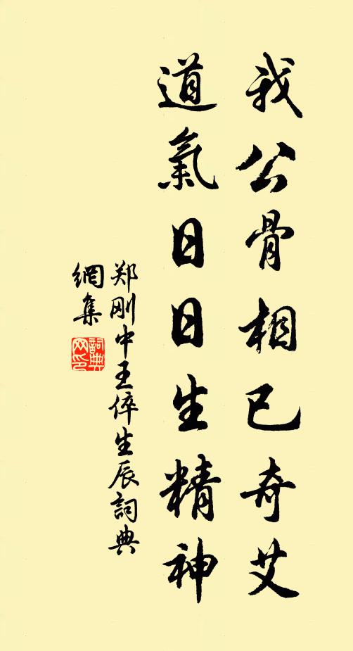 郑刚中我公骨相已奇艾，道气日日生精神书法作品欣赏