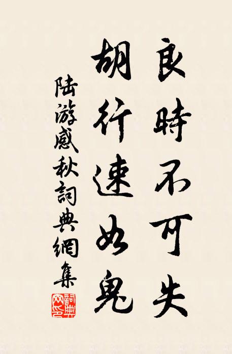 陆游良时不可失，胡行速如鬼书法作品欣赏