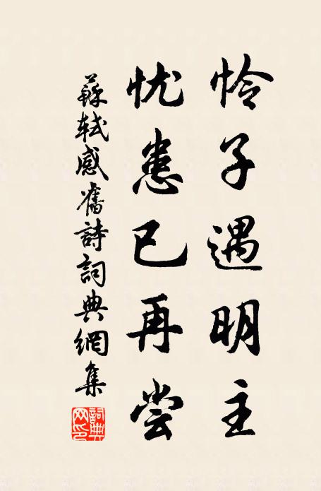 苏轼怜子遇明主，忧患已再尝书法作品欣赏