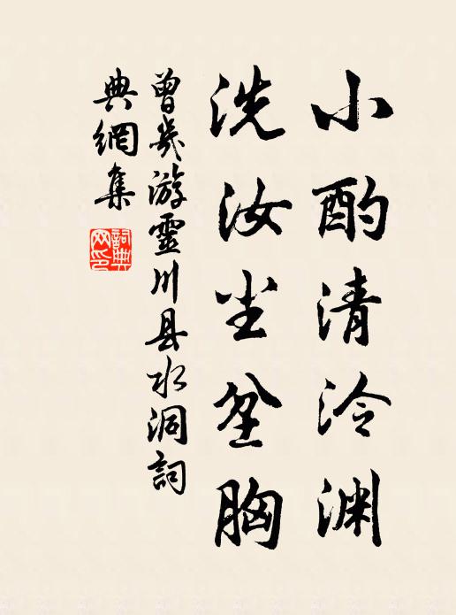 曾几小酌清泠渊，洗汝尘坌胸书法作品欣赏