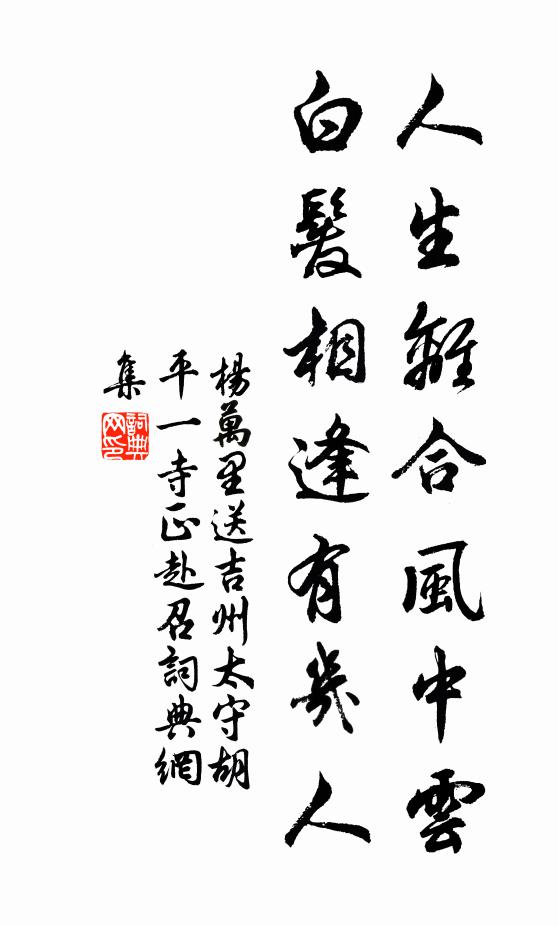 杨万里人生离合风中云，白发相逢有几人书法作品欣赏