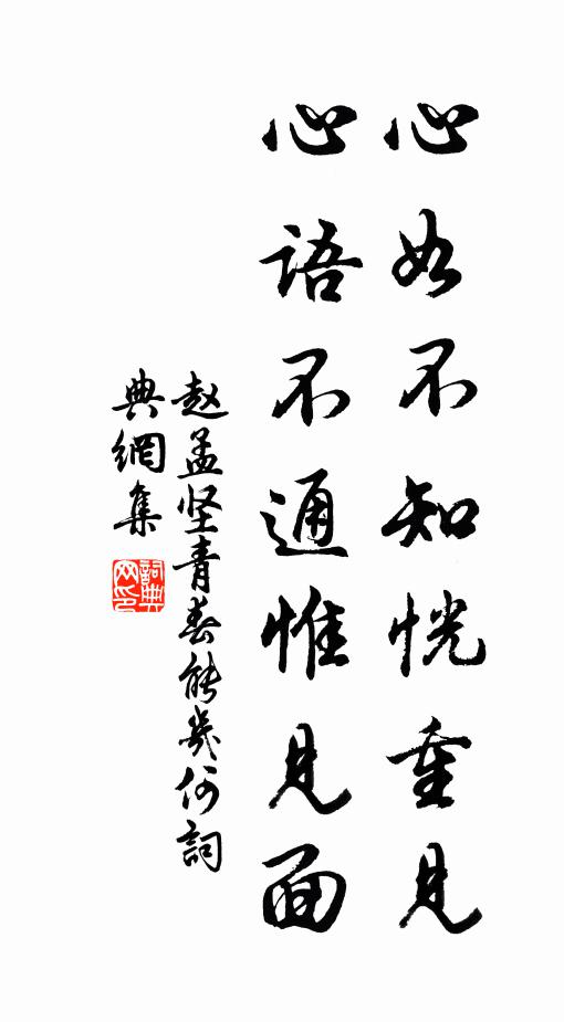 赵孟坚心如不知恍重见，心语不通惟见面书法作品欣赏