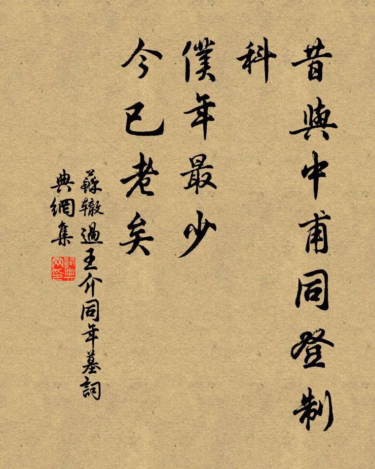 苏辙昔与中甫同登制科，仆年最少，今已老矣书法作品欣赏