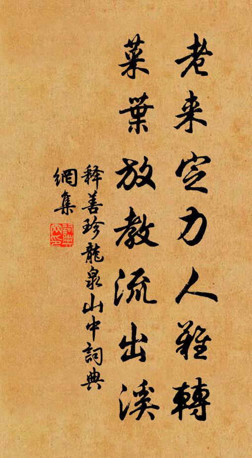 释善珍老来定力人难转，菜叶放教流出溪书法作品欣赏