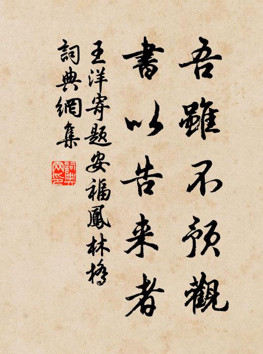 王洋吾虽不预观，书以告来者书法作品欣赏