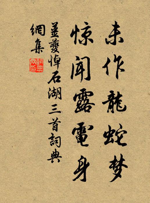 姜夔未作龙蛇梦，惊闻露电身书法作品欣赏